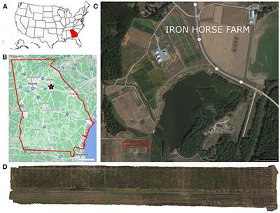 Cotton Yield Estimation From Aerial Imagery Using Machine Learning Approaches